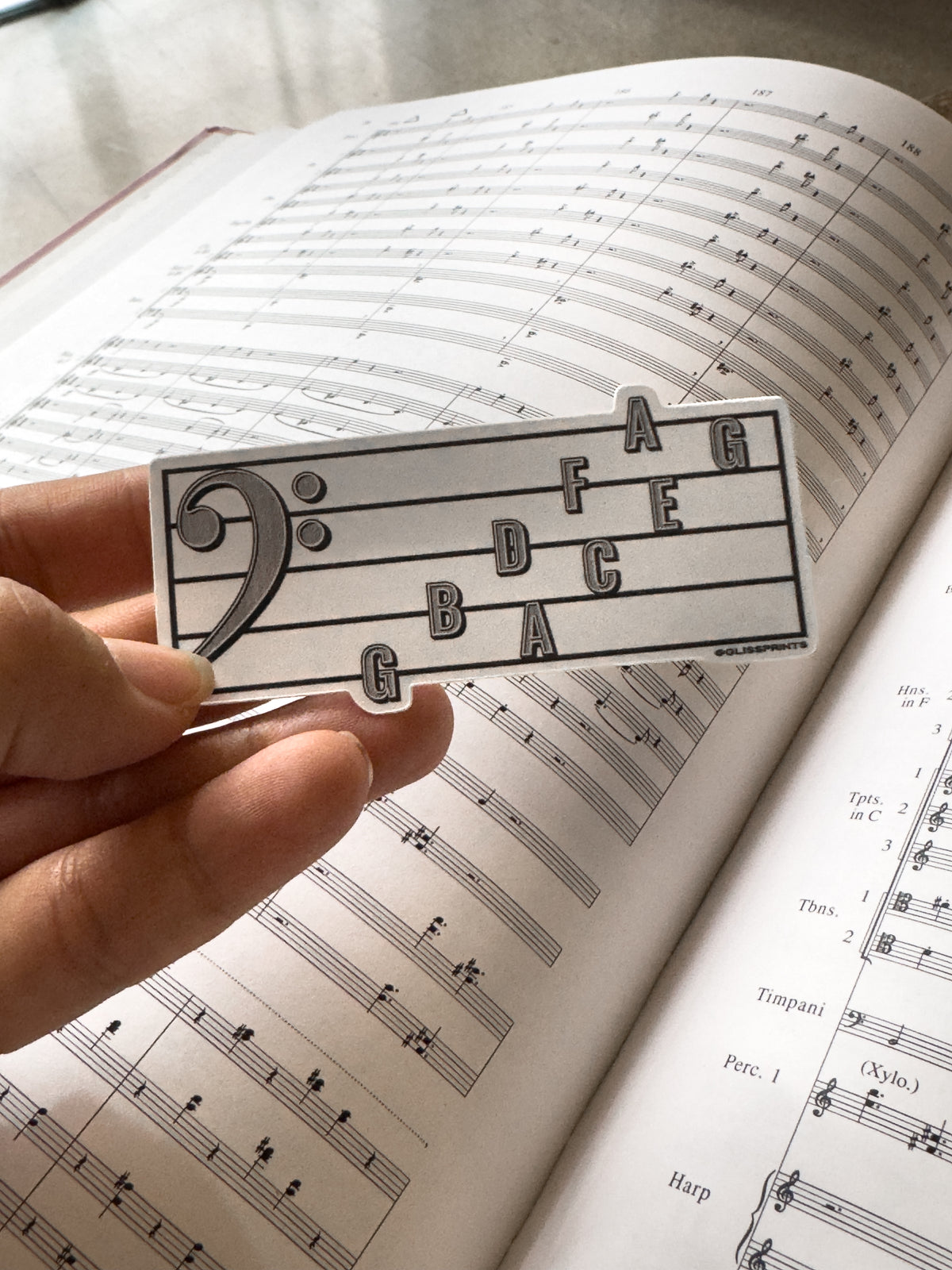 Bass Clef Note Names Sticker