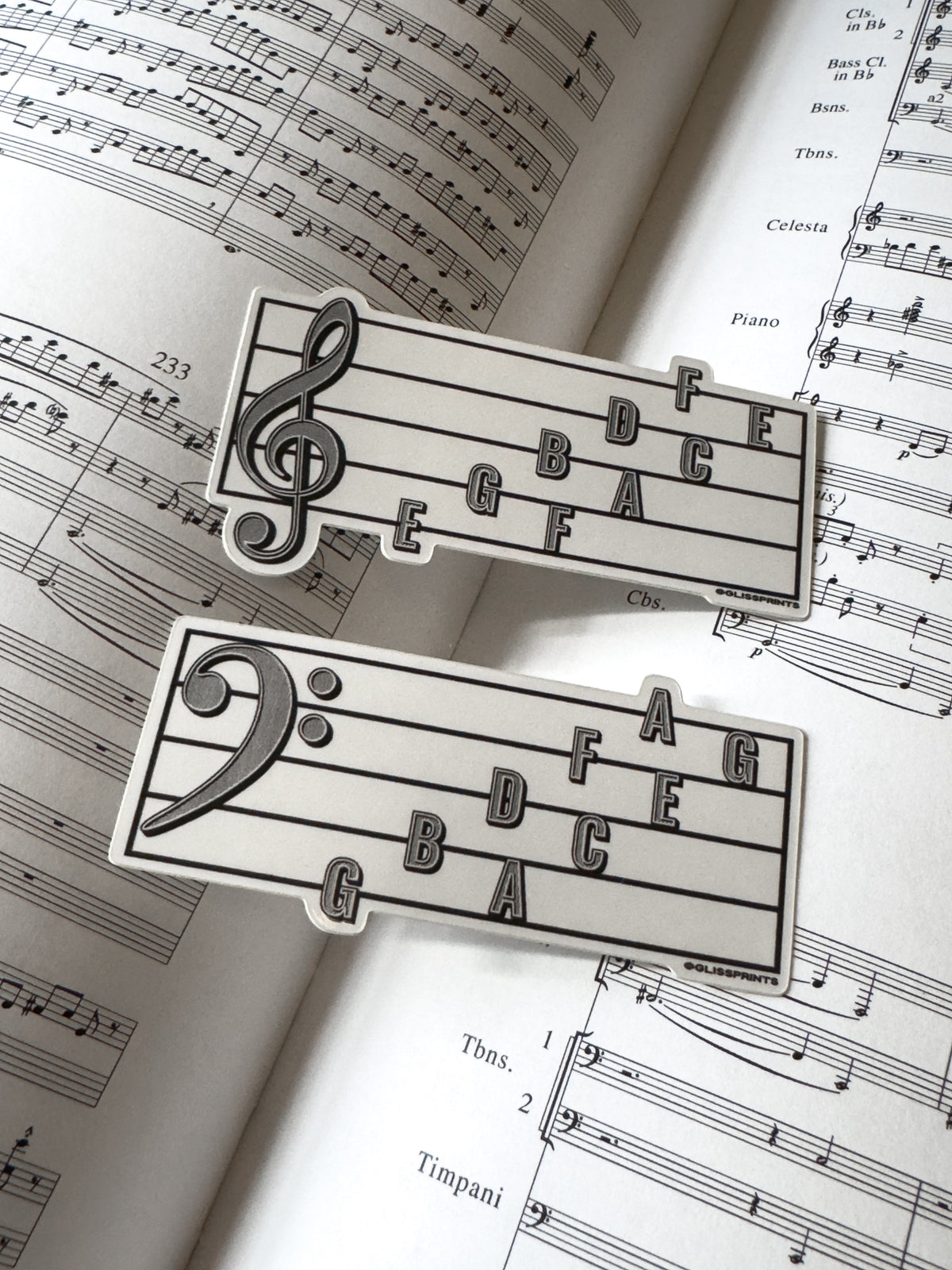 Bass Clef Note Names Sticker