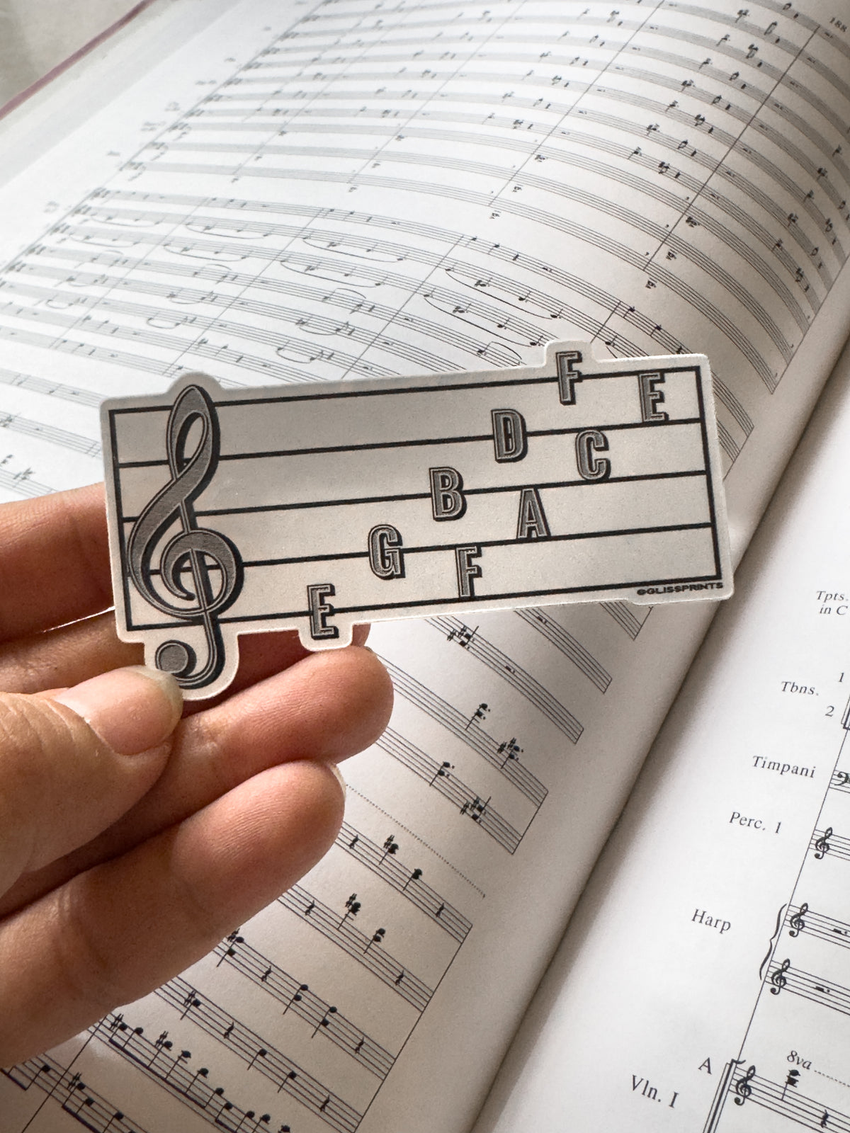 Treble Clef Note Names Sticker