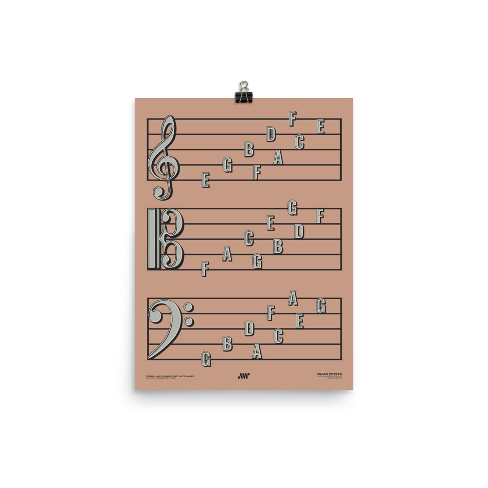 Treble Clef, Alto Clef, Bass Clef Note Names Poster, Pink
