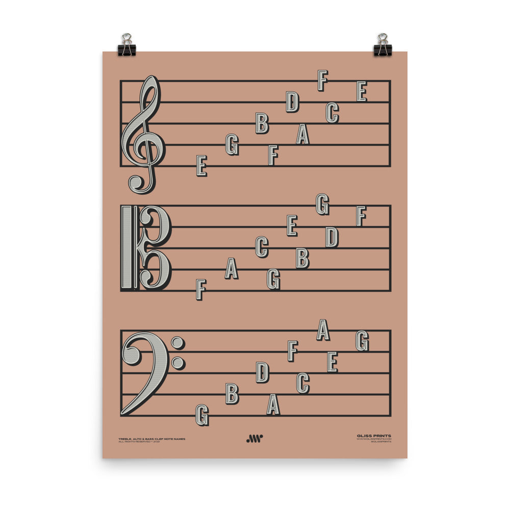 Treble Clef, Alto Clef, Bass Clef Note Names Poster, Pink