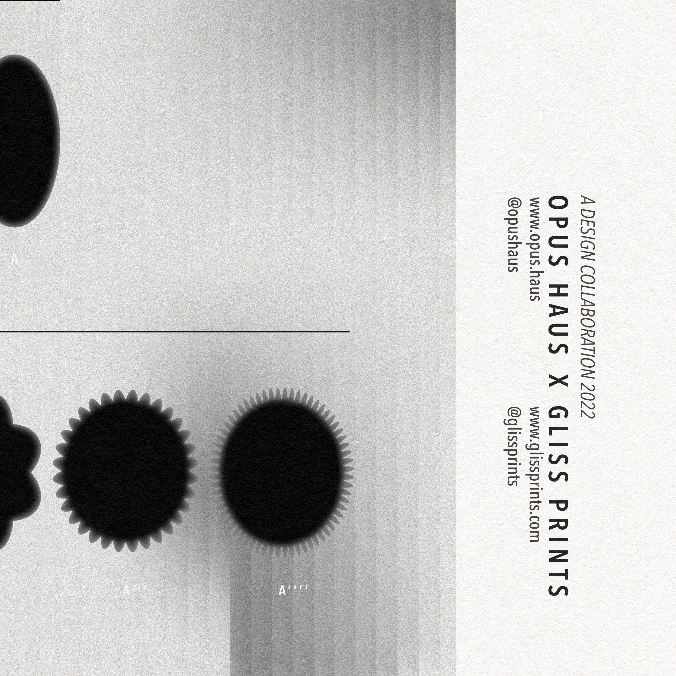 Music Forms Art Print - Opus Haus Collaboration